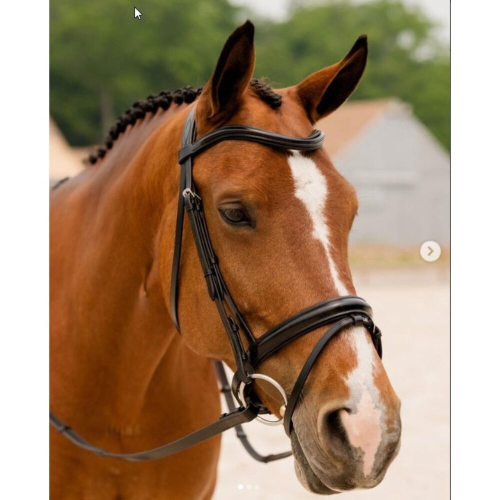 KL Select Snaffle Horse Bridle Removable Flashing + Reins Brown Leather No Brow